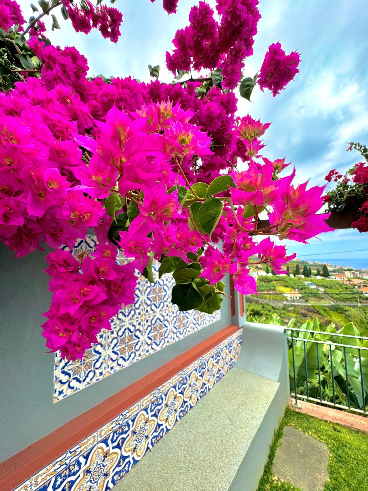 Casa Do Piquinho Villa ปอนตา ดู โซล ภายนอก รูปภาพ